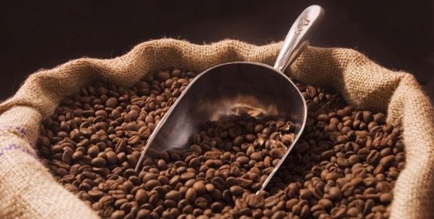 El café: el oro negro más amado y odiado del mundo