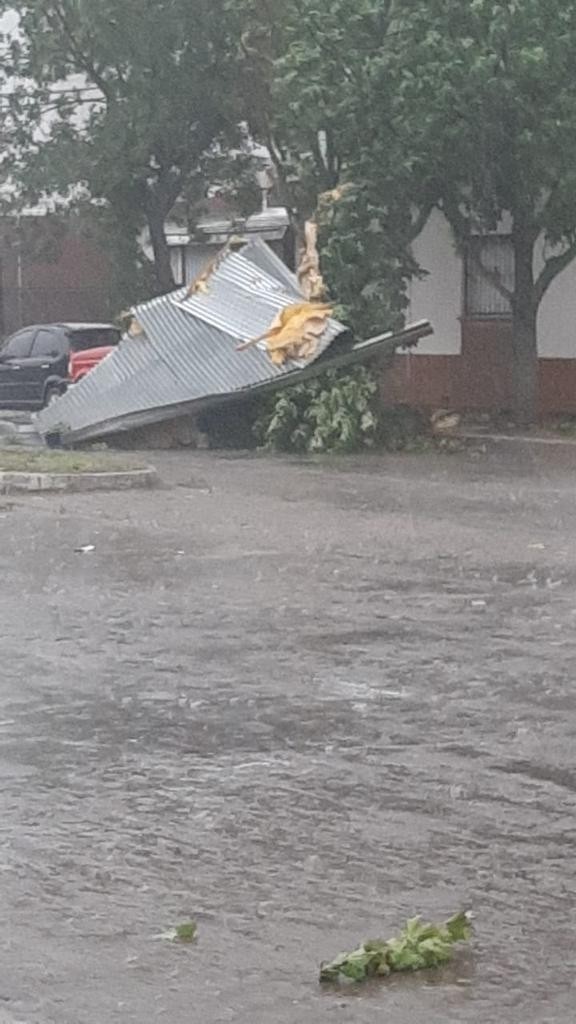 TEMPORAL TORMENTA