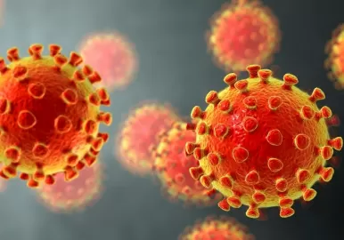 coronavirus mutacion