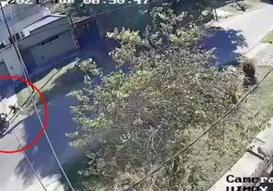 jubilada robo la plata