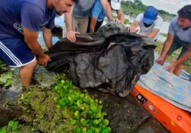 sorete-condor-mato-turista-mendoza