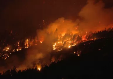 incendio-chubut-elhoyo