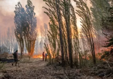 incendio patagonia