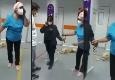 enfermera longchamps