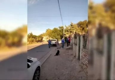 detuvieron-joven-pornografia-infantil-telegram