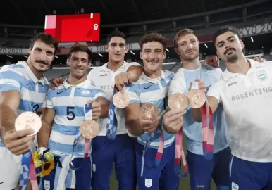 los pumas bronce