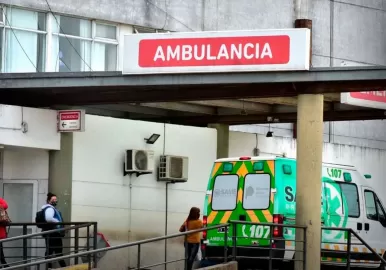 brote psicotico mar del plata