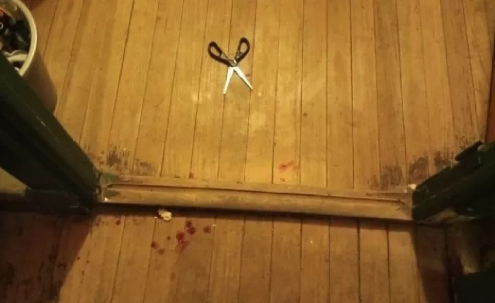 Una mujer apuñaló a su pareja con una tijera en un hostel en Mar del ...