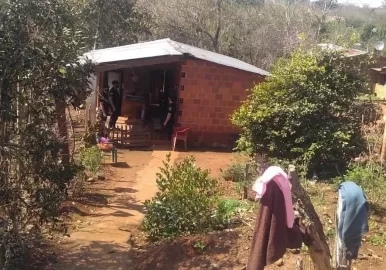 viuda negra misiones