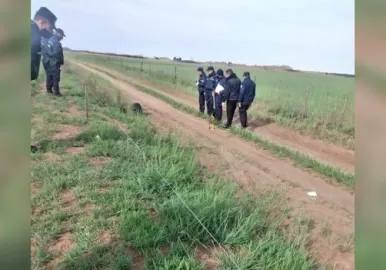 productor agropecuario