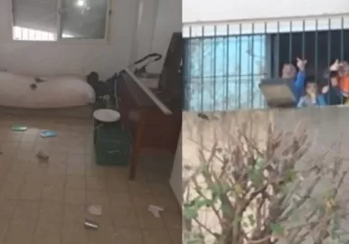 nenes rescatados la plata