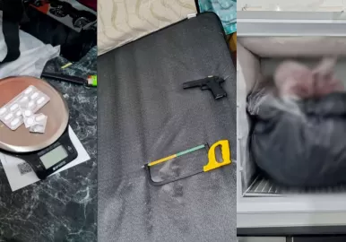 mato a su amigo tigre