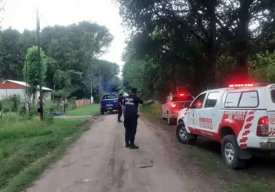 muerto por picadura de abejas