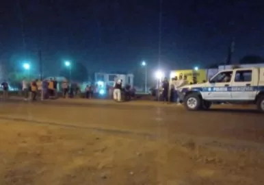 atropello y mato merlo