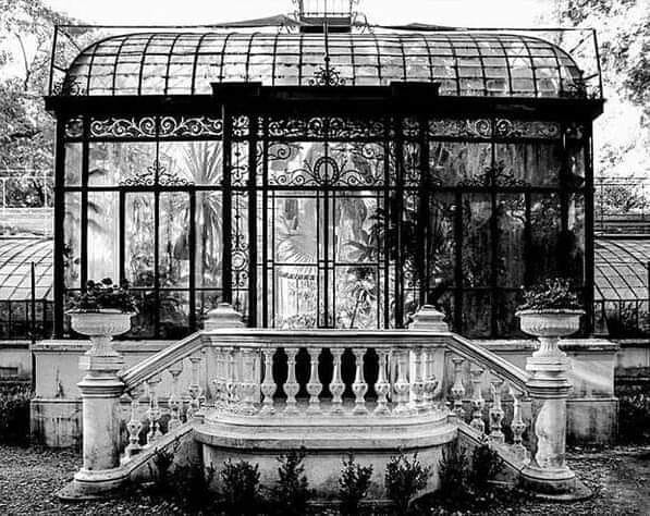 invernadero botanico