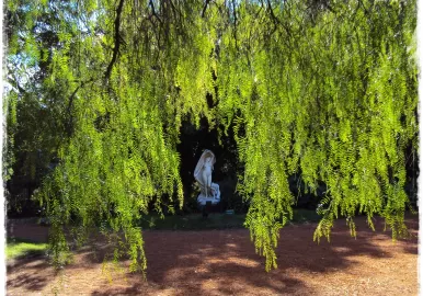 el despertar de la naturaleza