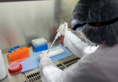 coronavirus analisis