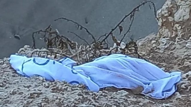 estafa mar del plata