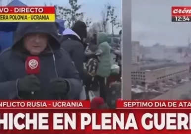 chiche gelblung polonia