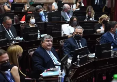 senadores frente de todos