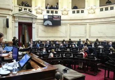cristina kirchner senado