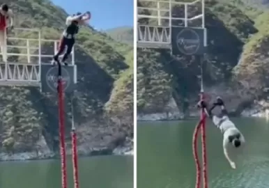 bungee jumping
