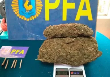 marihuana escuela rural