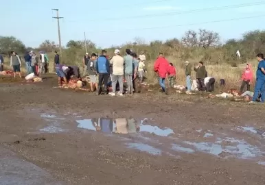 faenaron vacas santa fe