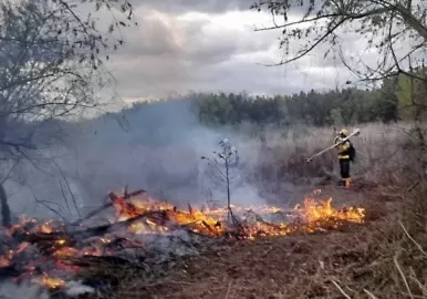 Fuego en el Delta