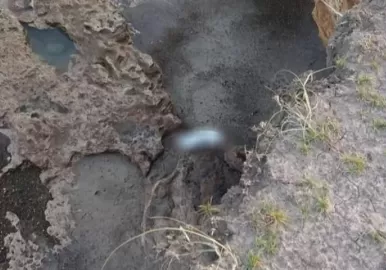 acantilado mar del plata