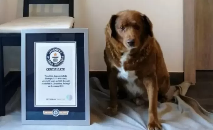 Bobi tiene 30 años y nació en Portugal