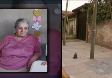 María Cristina De Vincenti