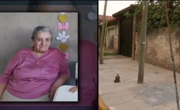 María Cristina De Vincenti