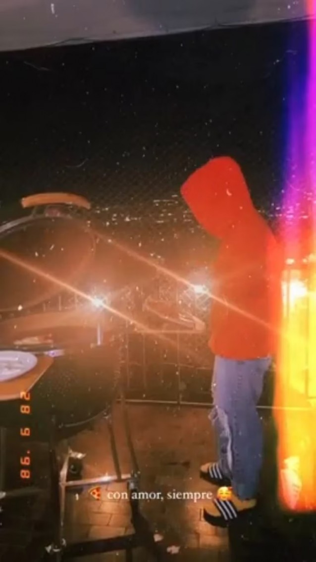 vicuña china suarez