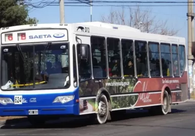 colectivo salta
