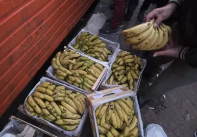 bananas
