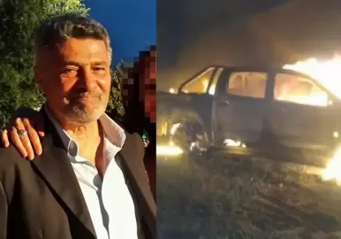 veterinario san luis