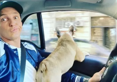 fernando perez algaba