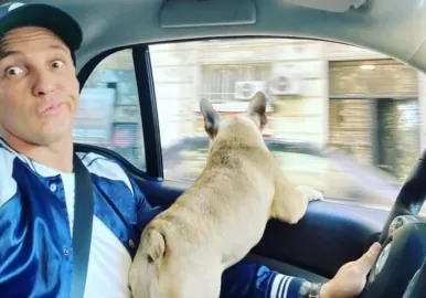 fernando perez algaba