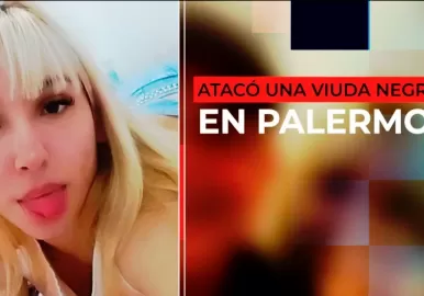 viuda negra palermo tinder