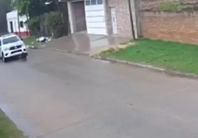 patrullero atropella perro