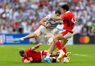 los pumas gales