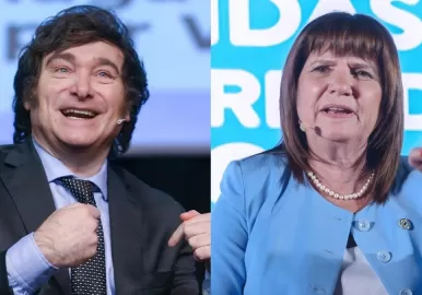 milei bullrich