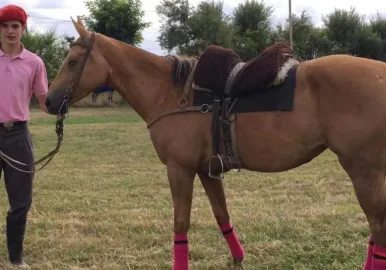 triple crimen chascomus