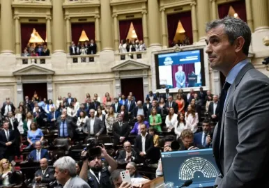 martin menem diputados