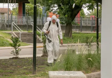 Campaña fumigación dengue