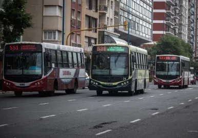 colectivos mar del plata