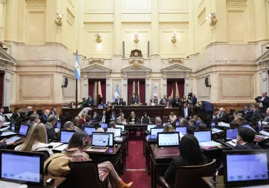 ley bases aprobacion