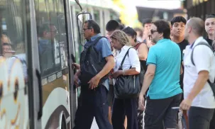 colectivos