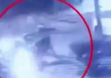 trader franco saulle